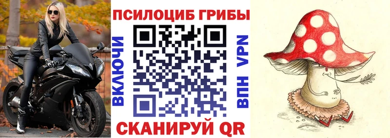 OMG ссылки  Чебоксары  Галлюциногенные грибы Cubensis 